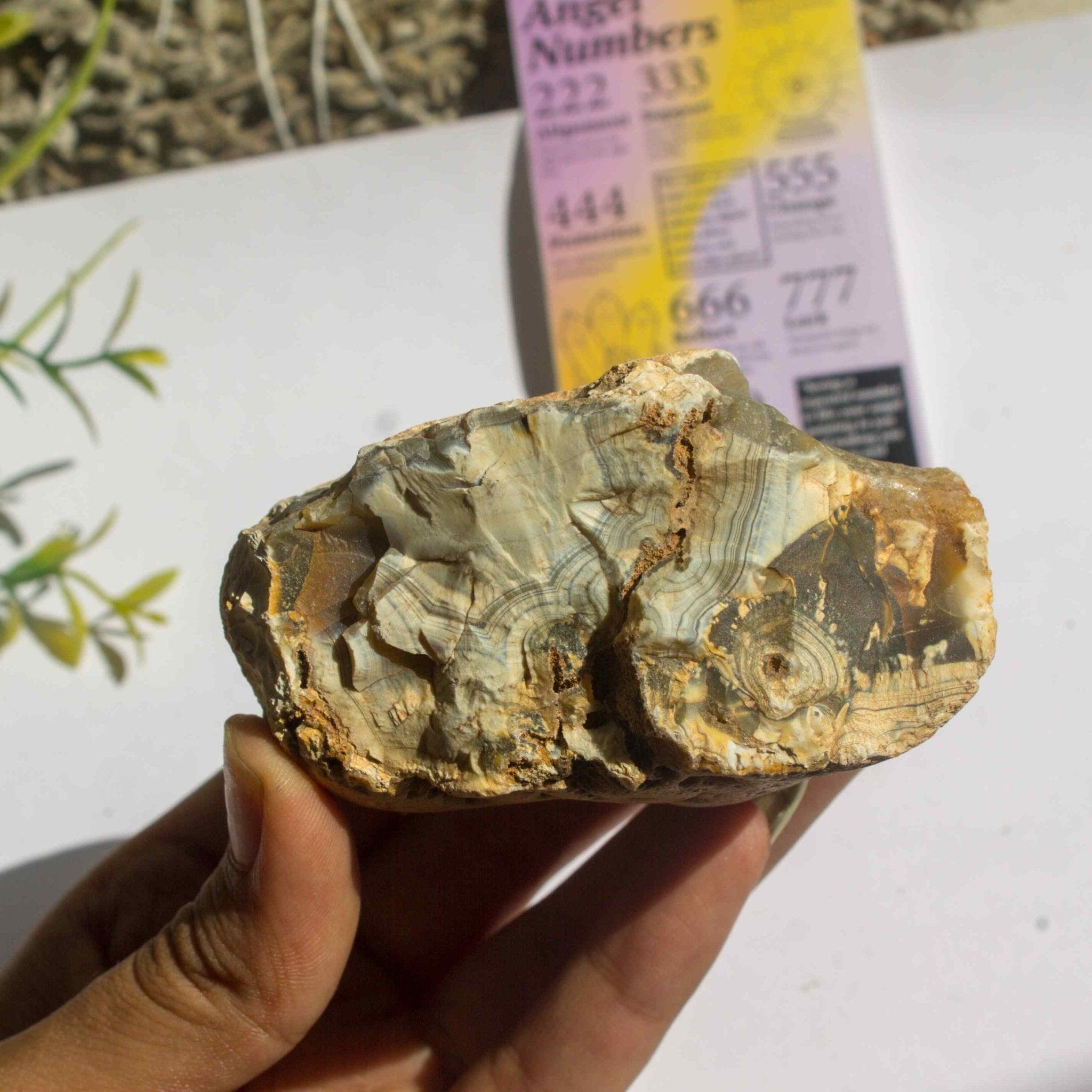 Gaea Crystal - Agate Raw Stone.