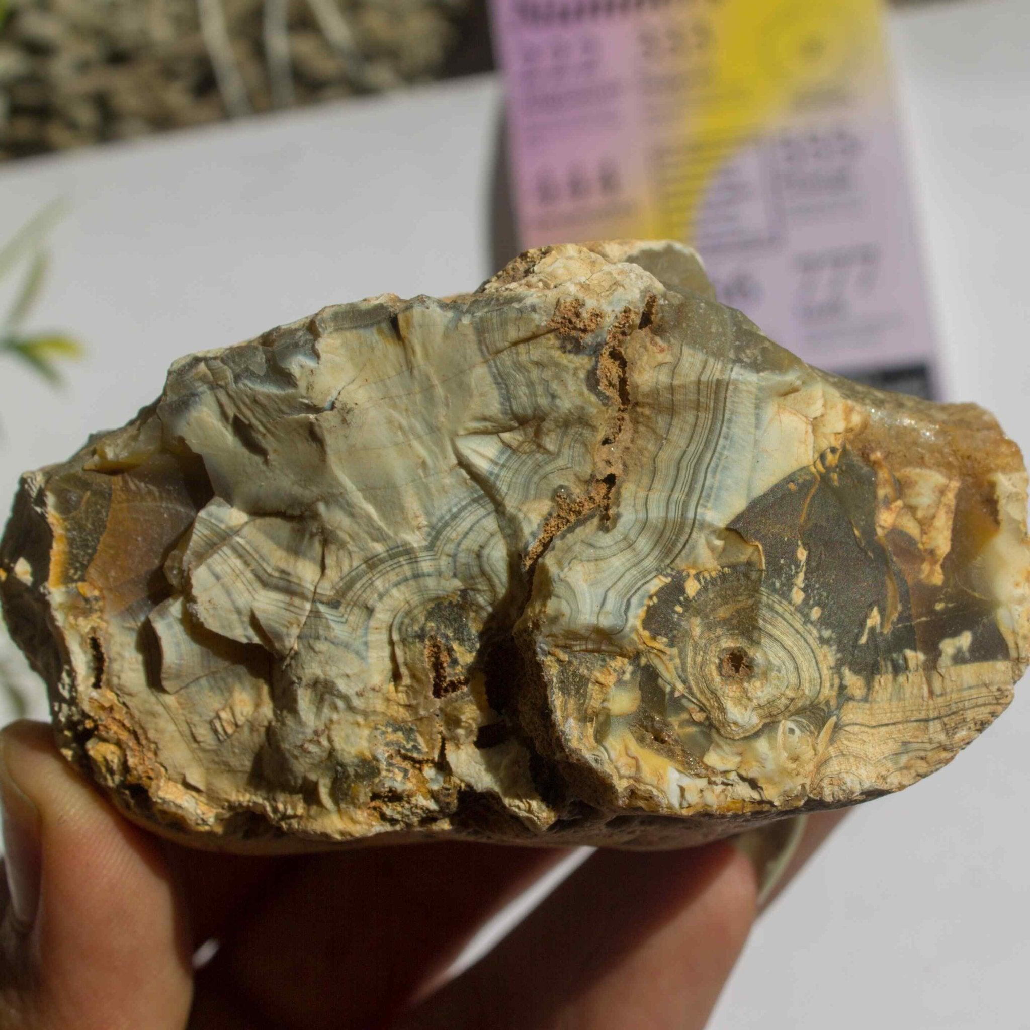 Gaea Crystal - Agate Raw Stone.