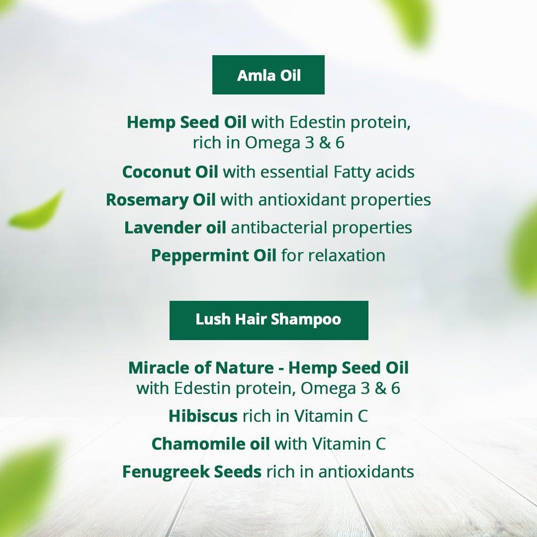 Hampa Wellness - Hemp Amla Hair Oil 100ml + Hemp Lush Hair Shampoo 200ml ComboHair careHampa Hemp Amla Oil & Shampoo Combo | Nourish & Revitalize