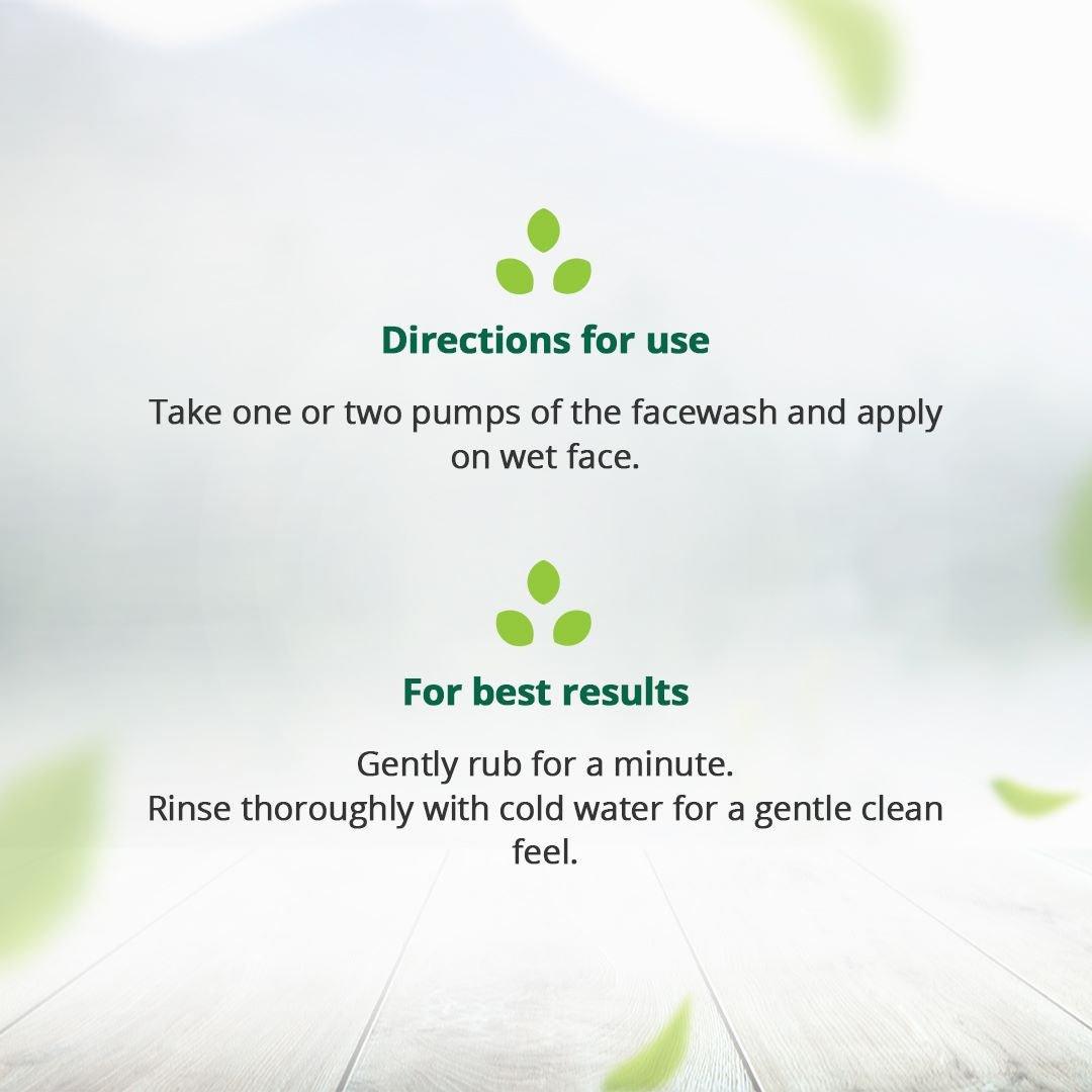 Hampa Wellness - Hemp Foaming Facewash - 150mlFacewashHampa Wellness - Hemp Foaming Facewash | Pollution Sheild