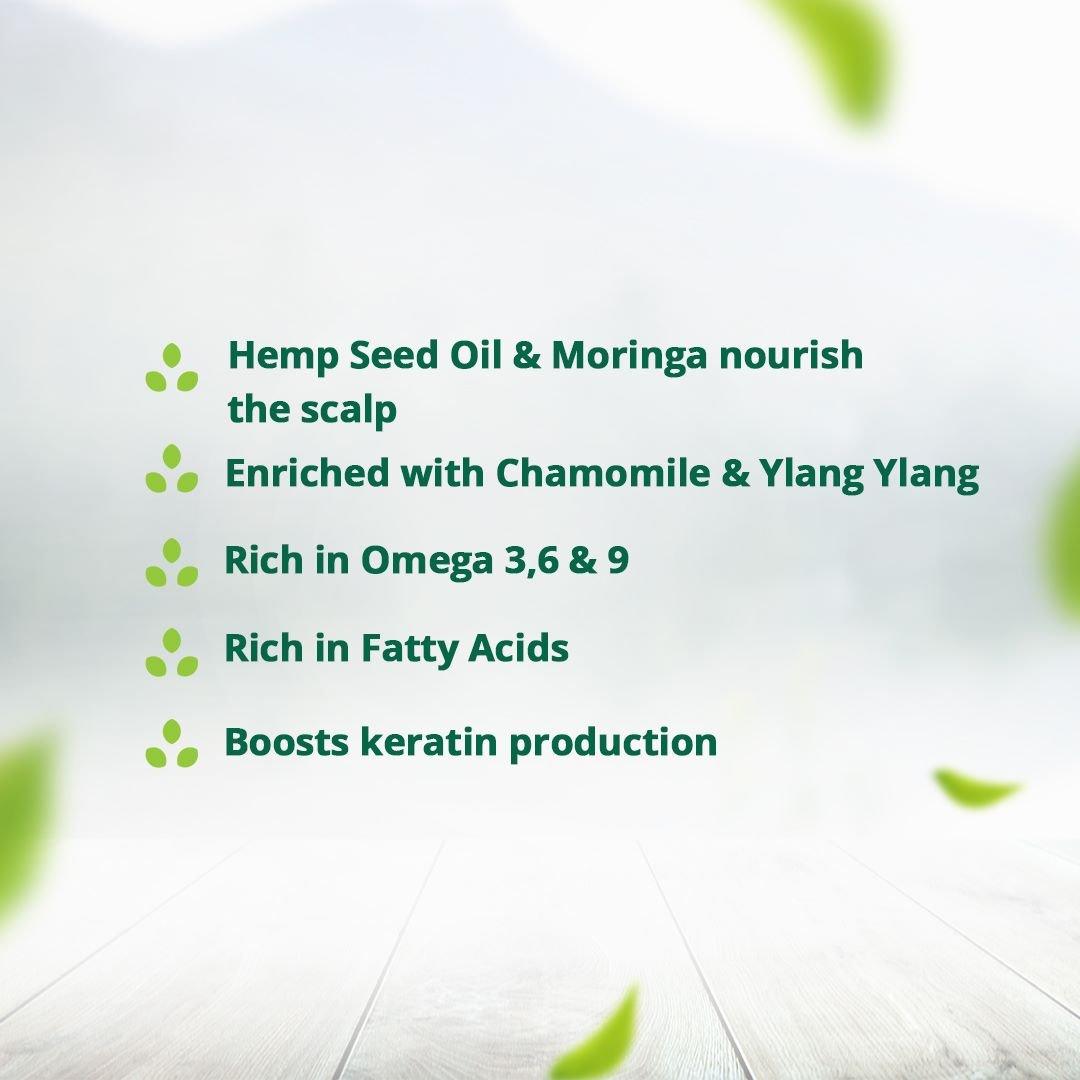 Hampa Wellness - Hemp Moringa OilHemp Moringa OilHemp Moringa Oil | Nutrition Elixir for Ultra Shiny and Smooth Hair