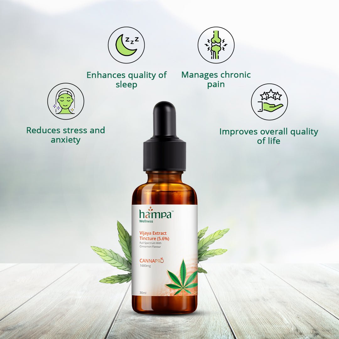 Hampa Wellness - Vijaya Extract Tincture (5.6%, Cinnamon Flavour) | Full Spectrum Oil with the Superpower of Hemp - CBD Store India