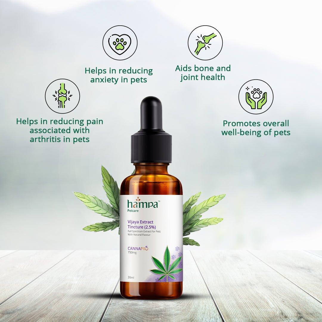Hampa Wellness - Vijaya Extract Tincture for Pets (2.5%) | 100% Natural Full spectrum Hemp Extract oil with the magic of CBD - CBD Store India