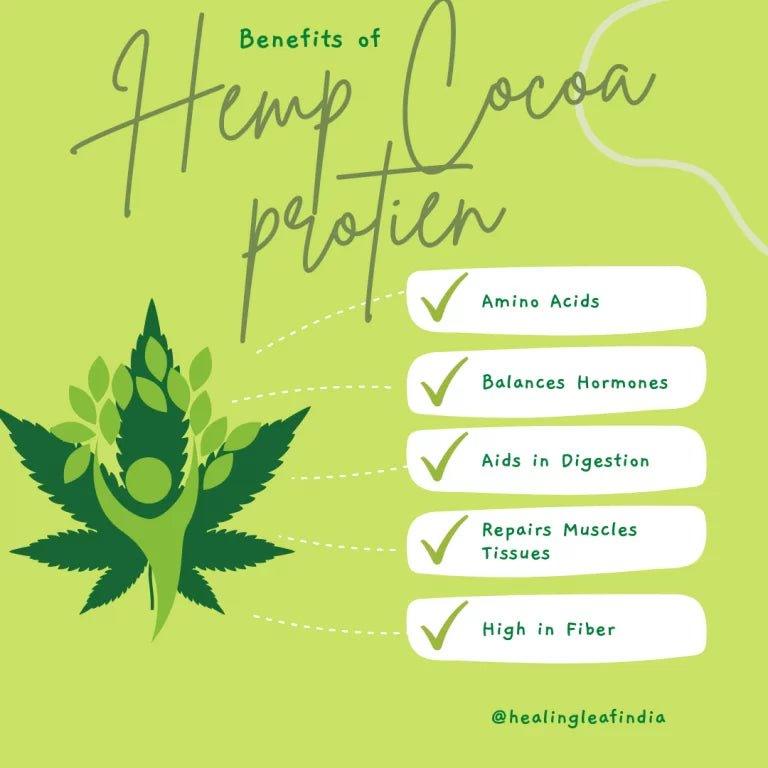 Healing Leaf - Hemp Cocoa Powder - 250 gm (Human)hemp proteinHealing Leaf Hemp Cocoa Protein Powder - Pure Energy