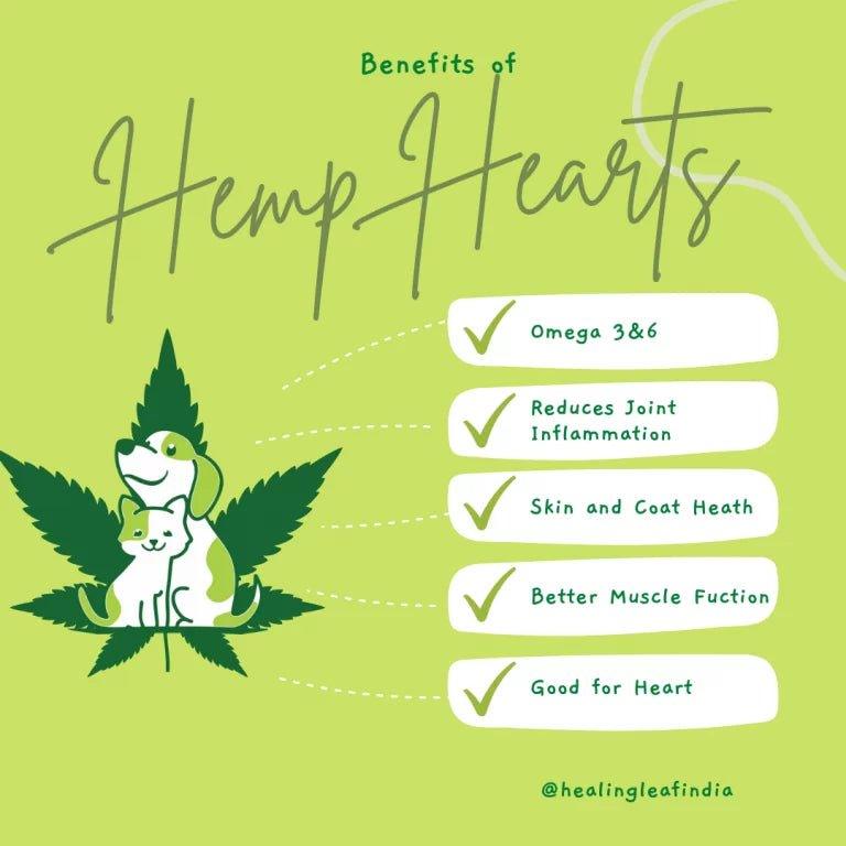 Healing Leaf - Hemp Hearts for Pets (100g).