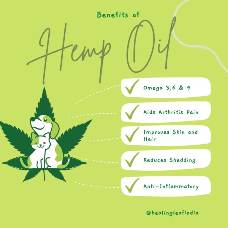 Healing Leaf - Hemp Oil for Pets - CBD Store India