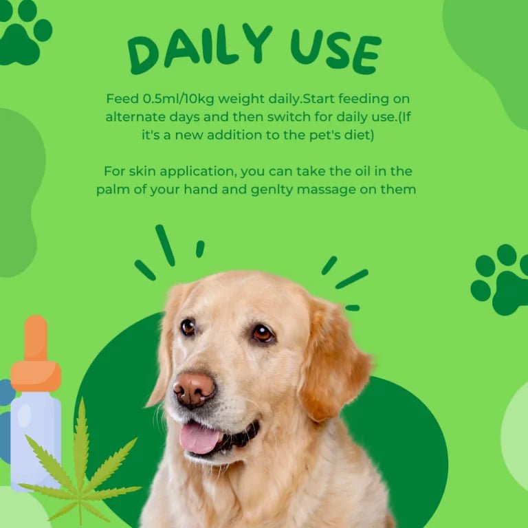 Healing Leaf - Hemp Oil for Pets - CBD Store India