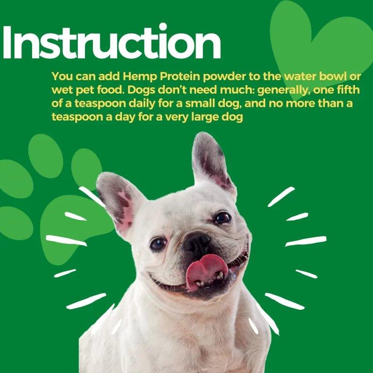 Healing Leaf - Hemp Protein Powder for Pets (100g)Pet ProductsHealing Leaf - Hemp Protein for Pets | Omega Rich, Natural