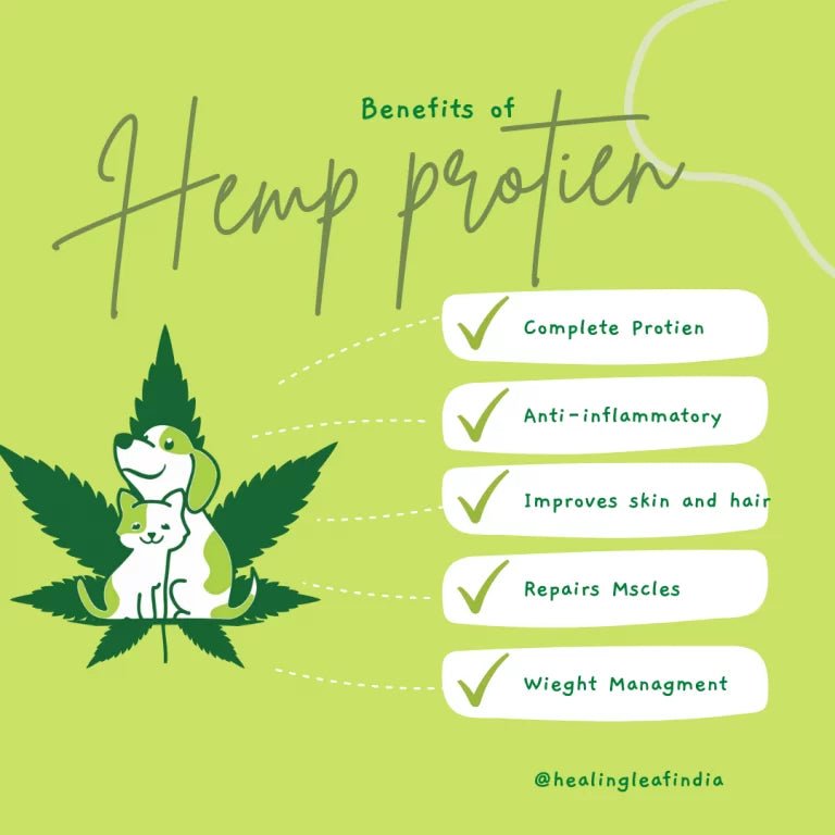 Healing Leaf - Hemp Protein Powder for Pets (100g) - CBD Store India