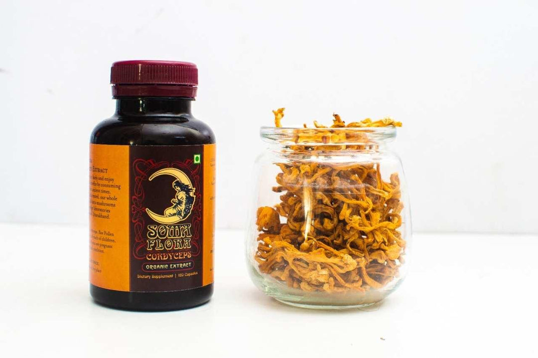 Herbal Odyssey Bundle