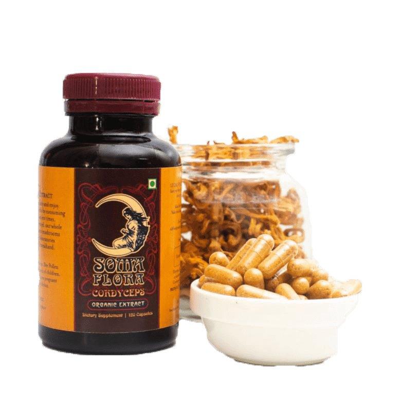 Herbal Odyssey Bundle - CBD Store India