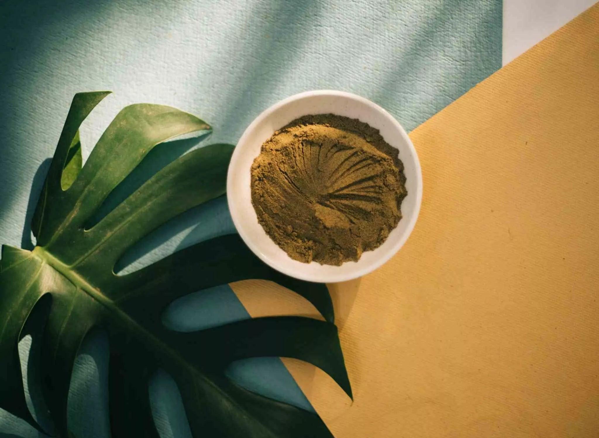 India Hemp & Co - Hemp Protein Powder 500gm.