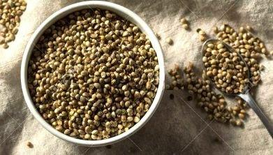 Indus Hemp - Hemp Toasted Seeds 250gms/500gmsHemp SeedIndus Hemp - Hemp Toasted Seeds | Healthy Hemp Seeds | CBD Store India