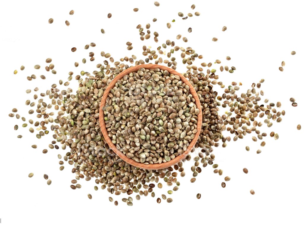 Indus Hemp - Natural Hemp Seeds 250gms/500gms - CBD Store India