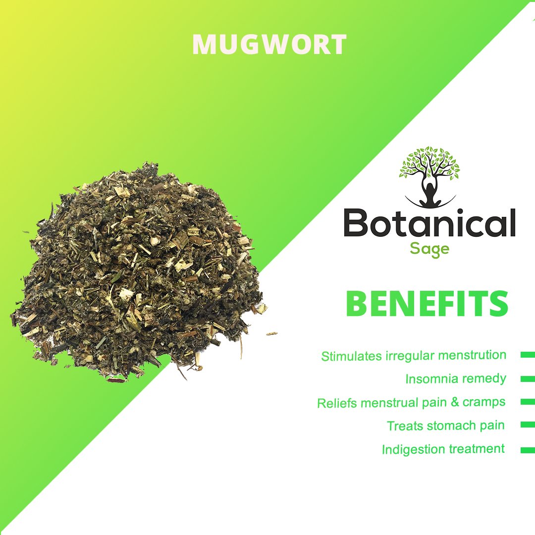 Leanbeaing Herbaveda - Mugwort - CBD Store India