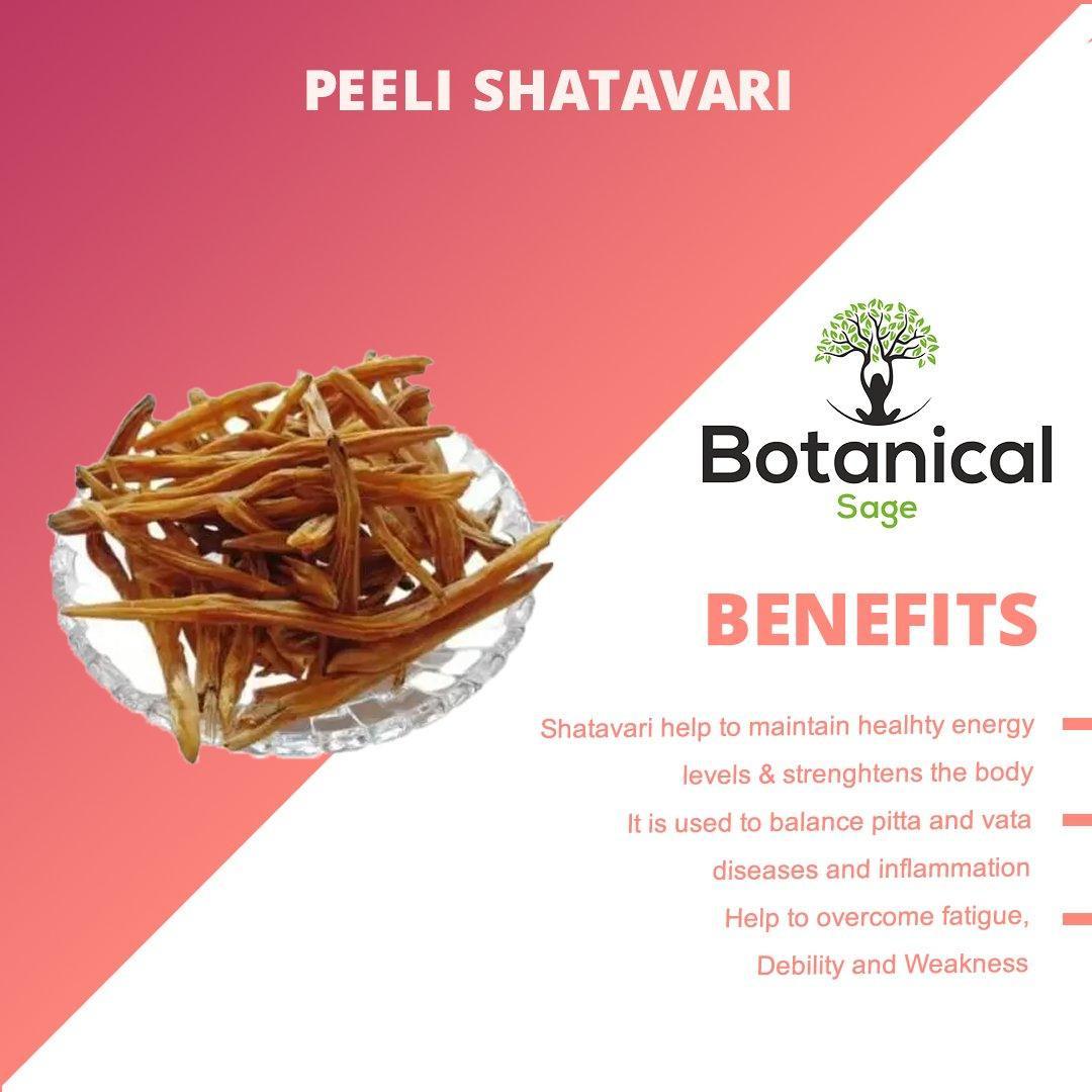 Leanbeing Healthcare - Shatavari.