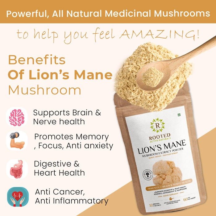 Lion's Mane mushroom Extract Powder | Memory, Brain & Nerve Health - CBD Store India