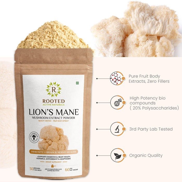 Lion's Mane mushroom Extract Powder | Memory, Brain & Nerve Health - CBD Store India