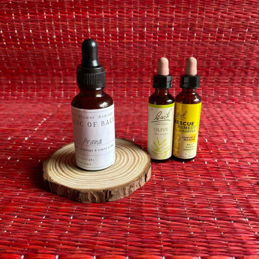 Magic of Bach - Prana | Bach Flower RemediesBach Flower RemediesMagic of Bach- Prana | Original Bach Flower Remedies | CBD Store India