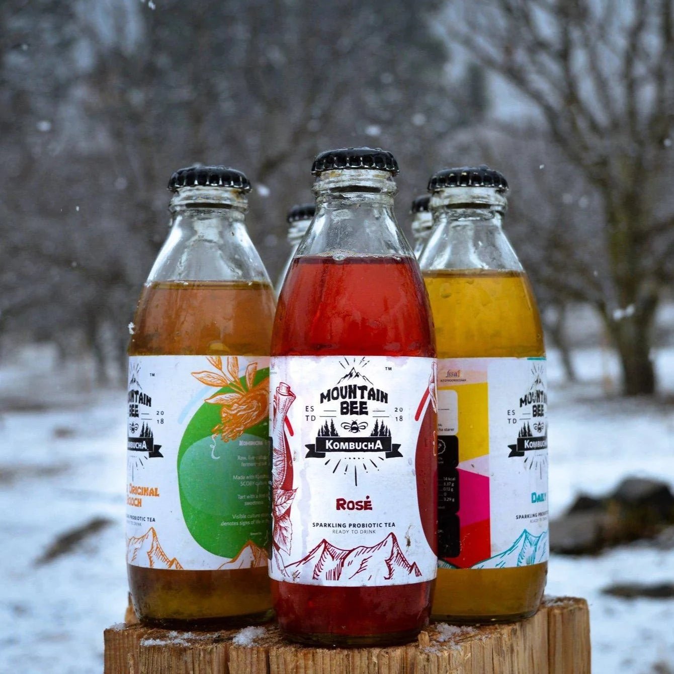 Mountain Bee Kombucha - Assorted Flavours - Pack of 6 - CBD Store India
