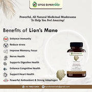MYCO SUPERFOOD Lion's Mane Mushroom Extract Powder Capsules | For Memory, Focus, Clarity - CBD Store India