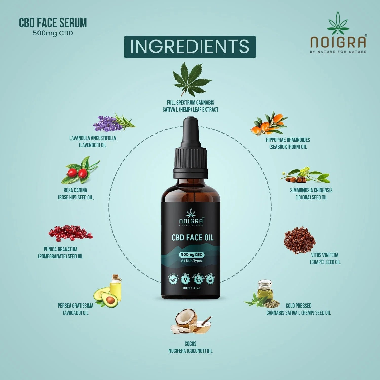 Noigra CBD Face Oil | 500mg CBD | Anti-Ageing for External application - CBD Store India