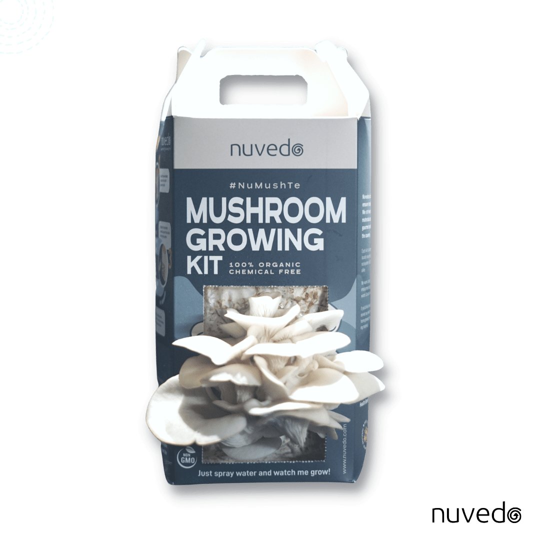 Nuvedo Fairy-White Mushroom Growing Kit - CBD Store India