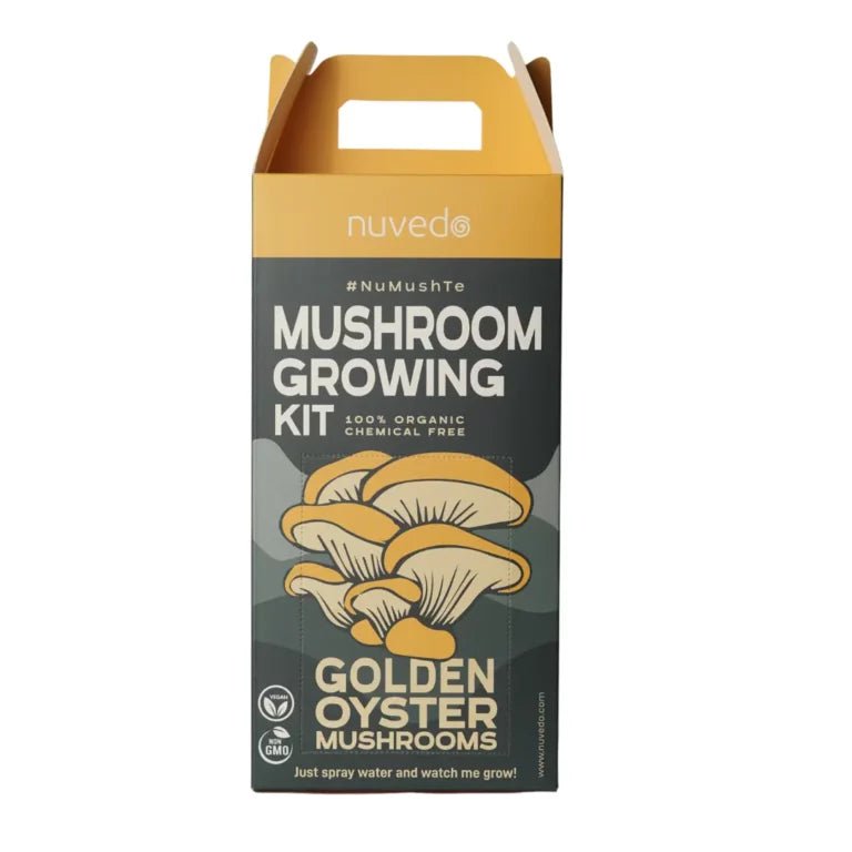 Nuvedo Golden Oyster Mushroom Growing Kit - CBD Store India