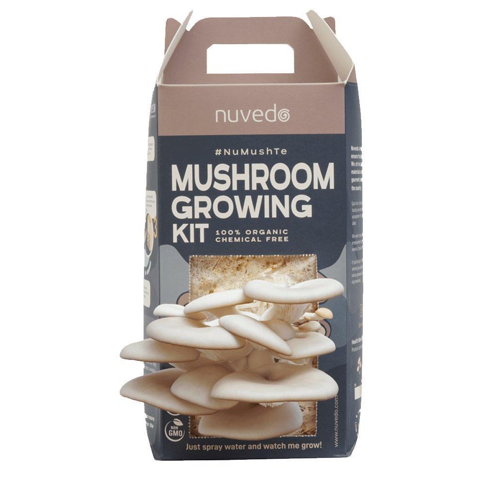 Nuvedo High-Protein Oyster Mushroom Growing Kit.