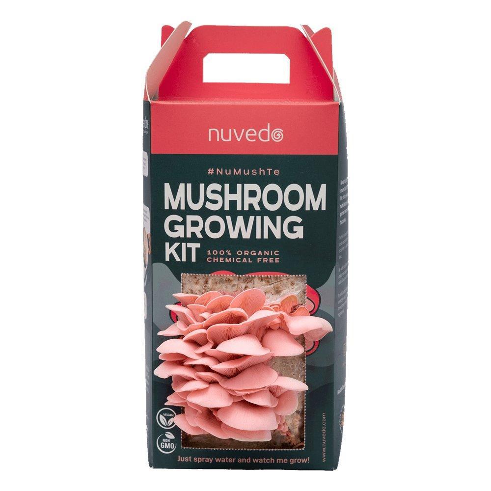 Nuvedo Pink Oyster Mushroom Growing Kit.