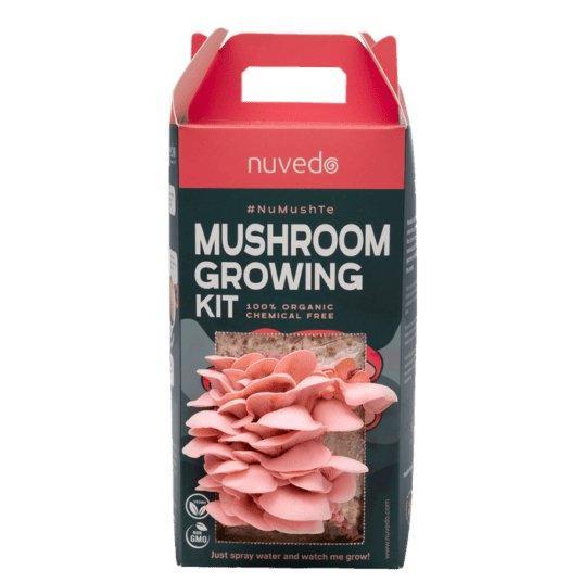 Nuvedo Pink Oyster Mushroom Growing Kit.