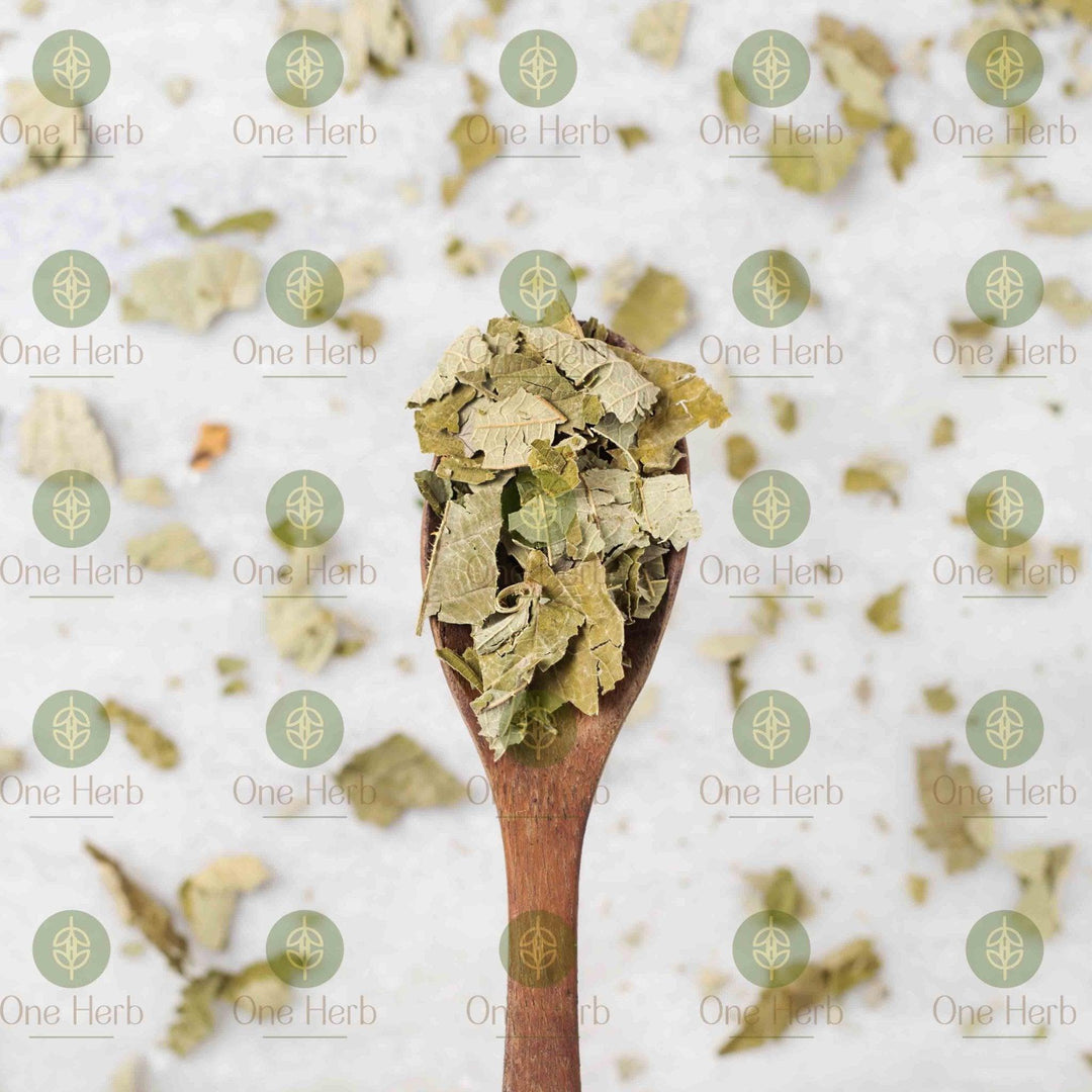 One Herb - Raspberry LeavesHerbal MedicineOne Herb - Raspberry Leaf Benefits | Antioxidants & Wellness