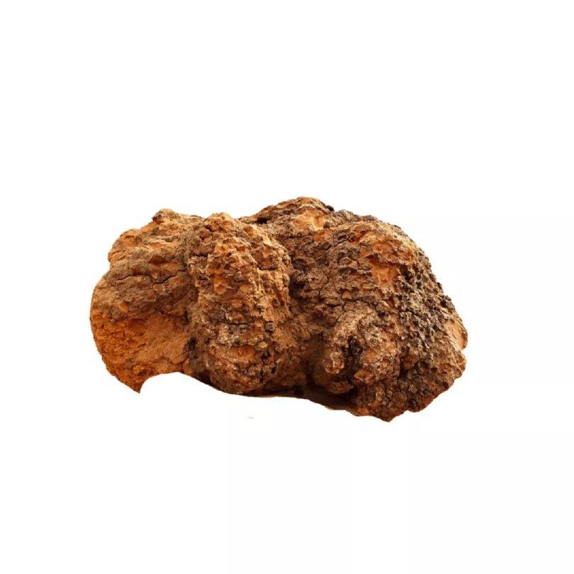 Planet Mushroom - Chaga Mushroom Chunks (Box of 100 gms)Dried MushroomPlanet Mushroom Chaga Chunks - Box of 100g | Immunity Boost