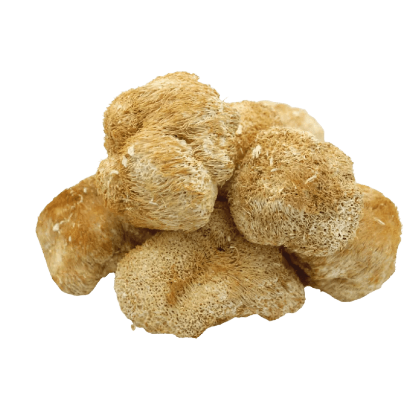 Planet Mushroom - Dried Lions Mane - CBD Store India