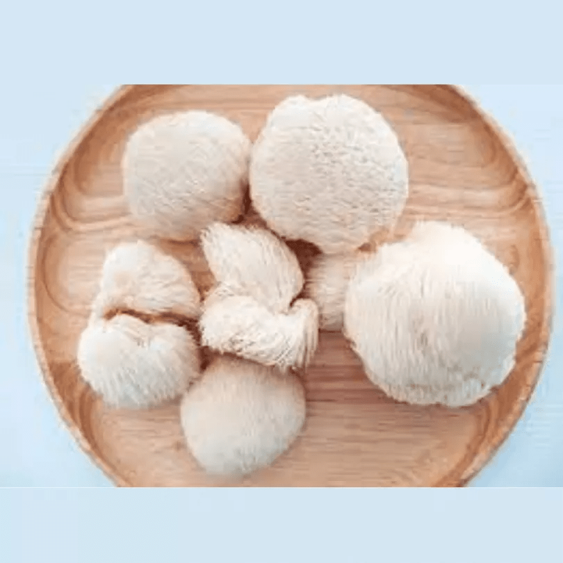 Planet Mushroom - Dried Lions Mane - CBD Store India