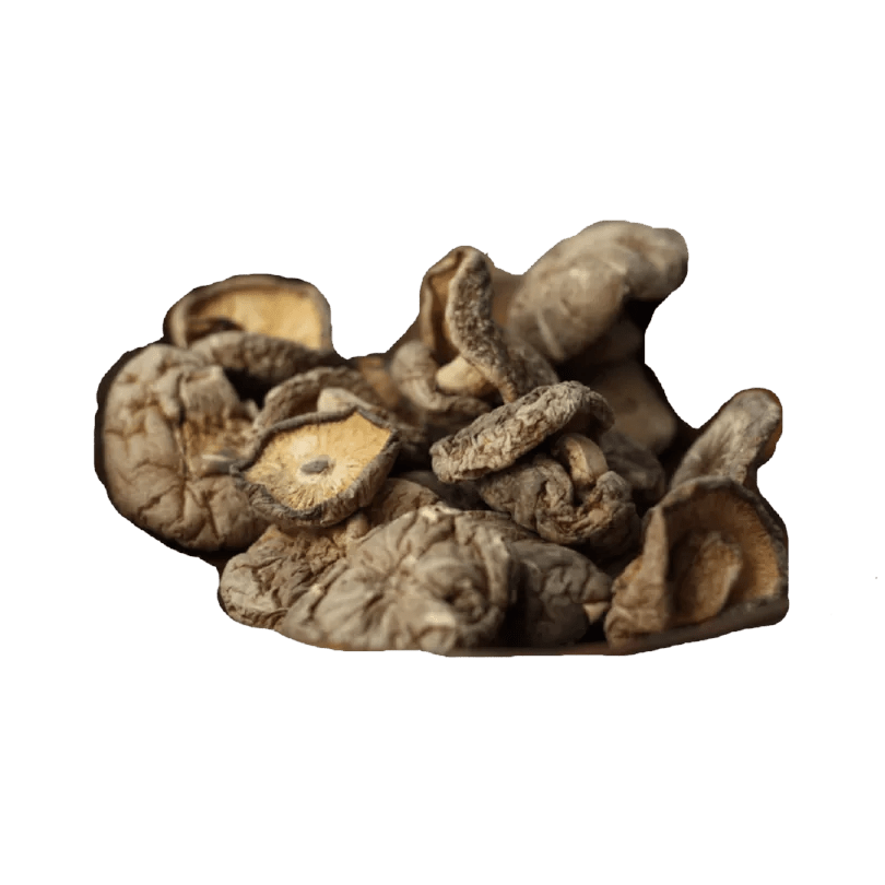 Planet Mushroom - Dried Shiitake - CBD Store India