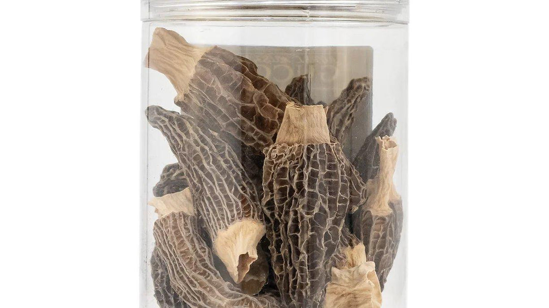 Planet Mushroom - Gucchi Mushroom (Jumbo Size Box of 30 gms)Dried MushroomGucchi Mushroom - Buy Morel Mushrooms | 30gm Box
