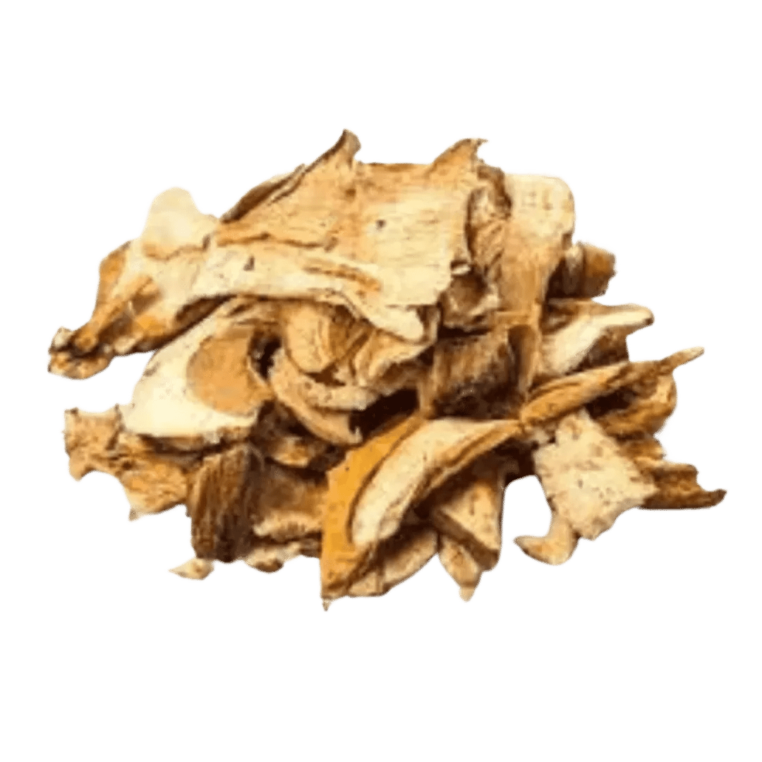 Planet Mushroom - Porcini Dried - CBD Store India