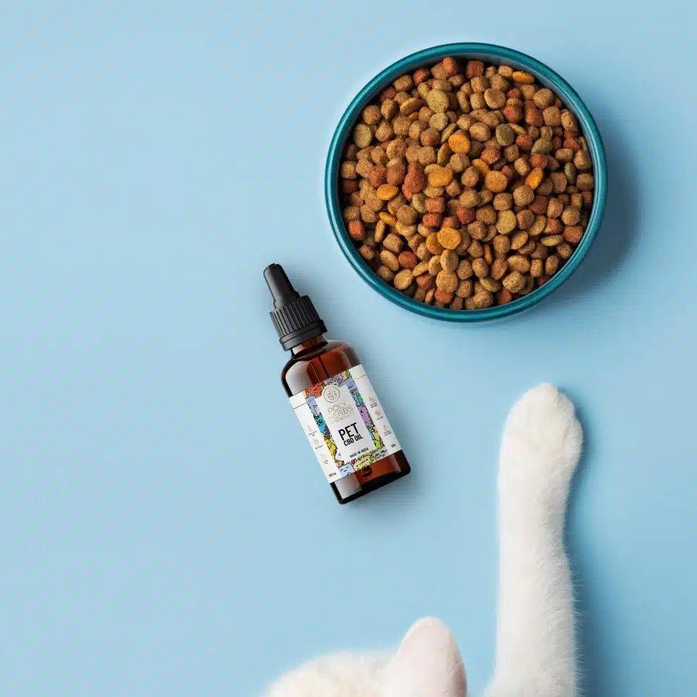 PolyHerbs - CBD Oil for Pets (Zero THC) | for Anxiety, Pain, Seizures, Tumor & More.