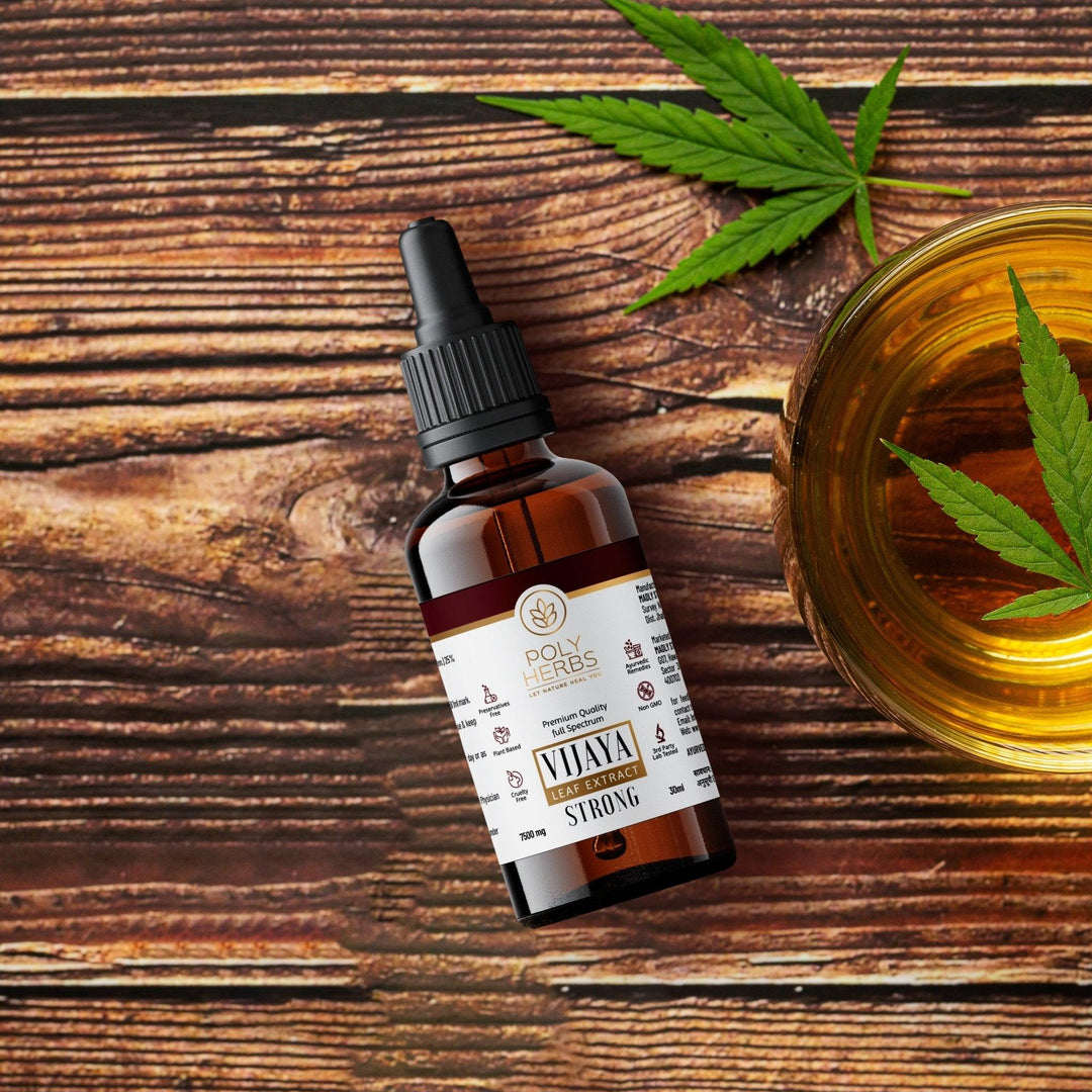 PolyHerbs - Strong | Vijaya Leaf ExtractCBD Oil TincturesPolyHerbs - Strong Vijaya Leaf Extract (1:2.5 Ratio) | CBD Store India