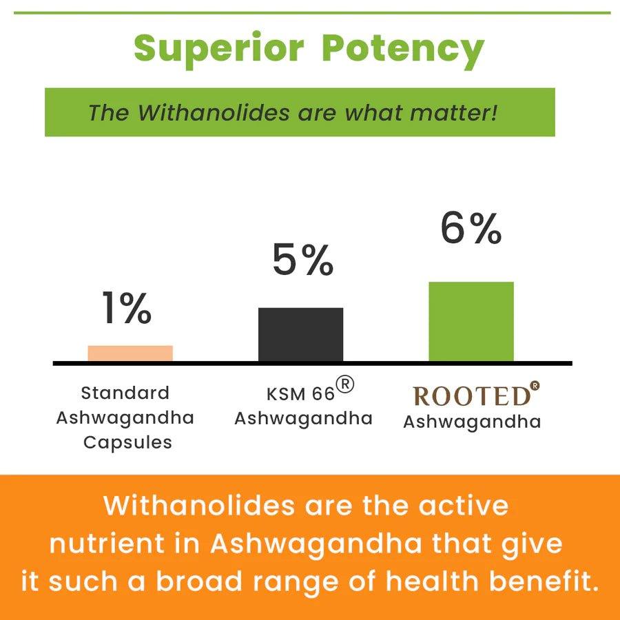 Rooted Actives Ashwagandha extract (5% Withanolides, 60 Caps, 500 mg ) with Reishi & Black pepper extract |Stress Relief,Cardio & Energy,Immunity,Liver support.