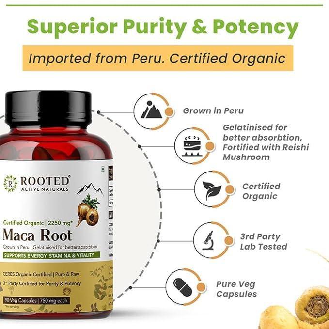 Rooted Actives Maca Root (90 Veg Caps, 750 mg) -Stamina, Virility, Hormonal support| Imported from Peru, Certified Organic, Gelatinised.