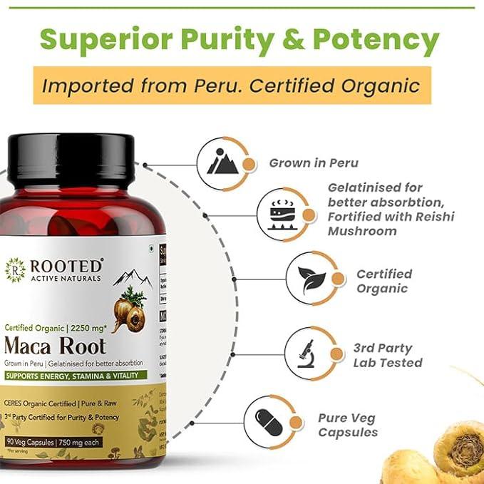 Rooted Actives Maca Root (90 Veg Caps, 750 mg) -Stamina, Virility, Hormonal support| Imported from Peru, Certified Organic, Gelatinisedmushroom capsulesRooted Actives Maca Root - Maca Root Capsules Organic | Stamina, Virility, Hormonal Support