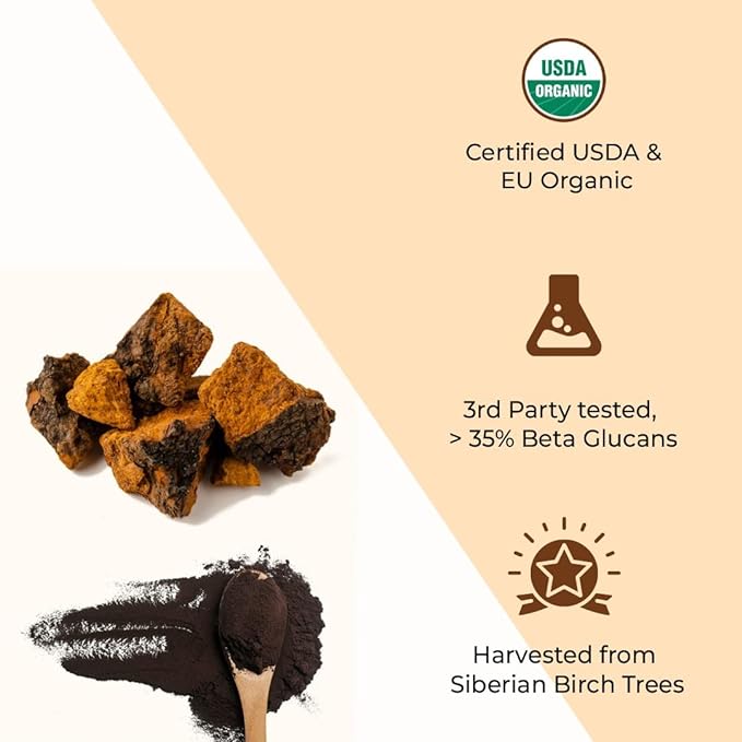 Siberian Chaga mushroom Extract | Blood Sugar, Heart & Immunity. USDA Organic, 35% Beta Glucans - CBD Store India