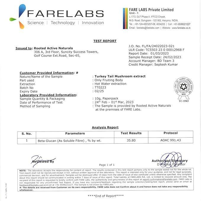 Rooted Actives Siberian Chaga mushroom Extract | Blood Sugar, Heart & Immunity..