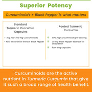 Rooted Actives Turmeric Curcumin (95%) with Reishi Mushroom extract (for better absorbtion)1300mg, for Immunity, Joints Cardio Health| 60 VEG Capsules, 650 Mg each - CBD Store India