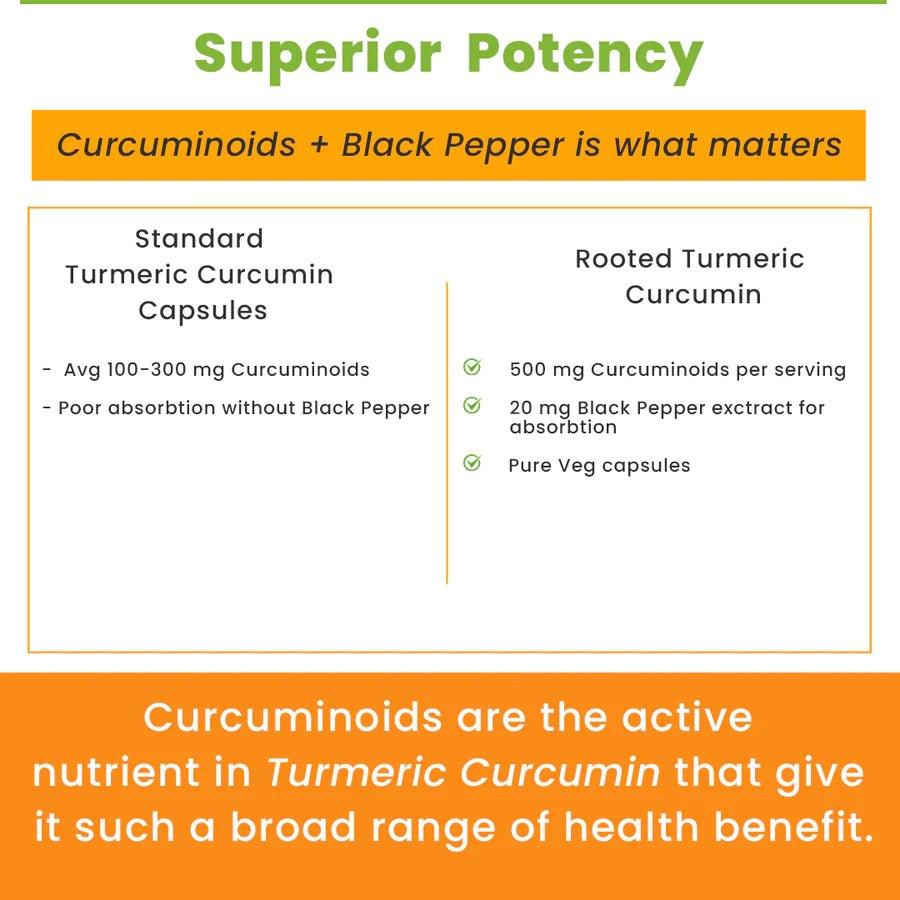 Rooted Actives Turmeric Curcumin (95%) with Reishi Mushroom extract 1300mg, for Immunity, Joints Cardio Health| 60 VEG Capsules.