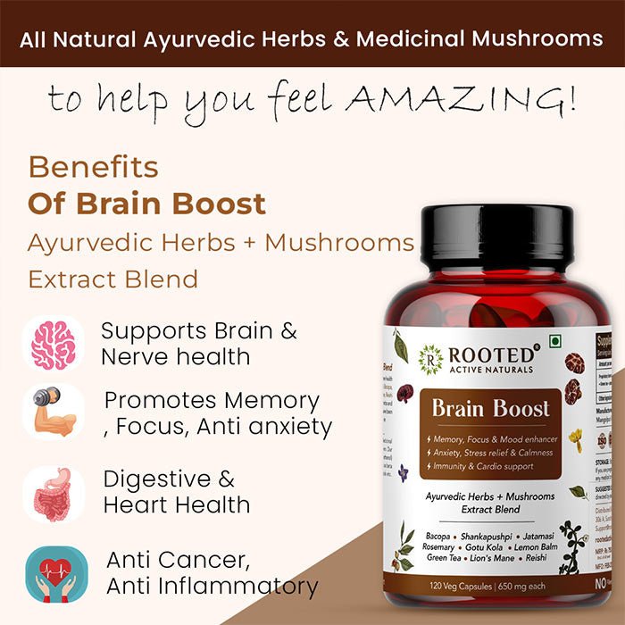 Rooted Brain Boost supplement for Focus, Memory, Brain wellness |60 Veg Caps of 650 mg each Mushrooms +Herbs Extract Blend - CBD Store India