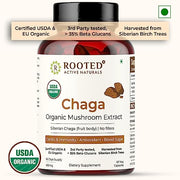 Rooted Chaga mushroom Extract Capsules 500 mg | Blood Sugar, Heart & Immunity - CBD Store India