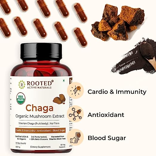 Rooted Chaga mushroom Extract Capsules 500 mg | Blood Sugar, Heart & Immunity - CBD Store India